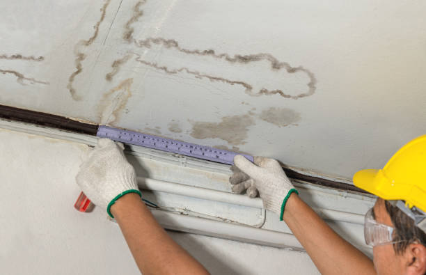 Reliable Water Damage contractor in DeWitt, MI by Water Damage Irwin
